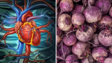 This vegetable is more powerful than spinach, it can reduce blood pressure in 3 hours